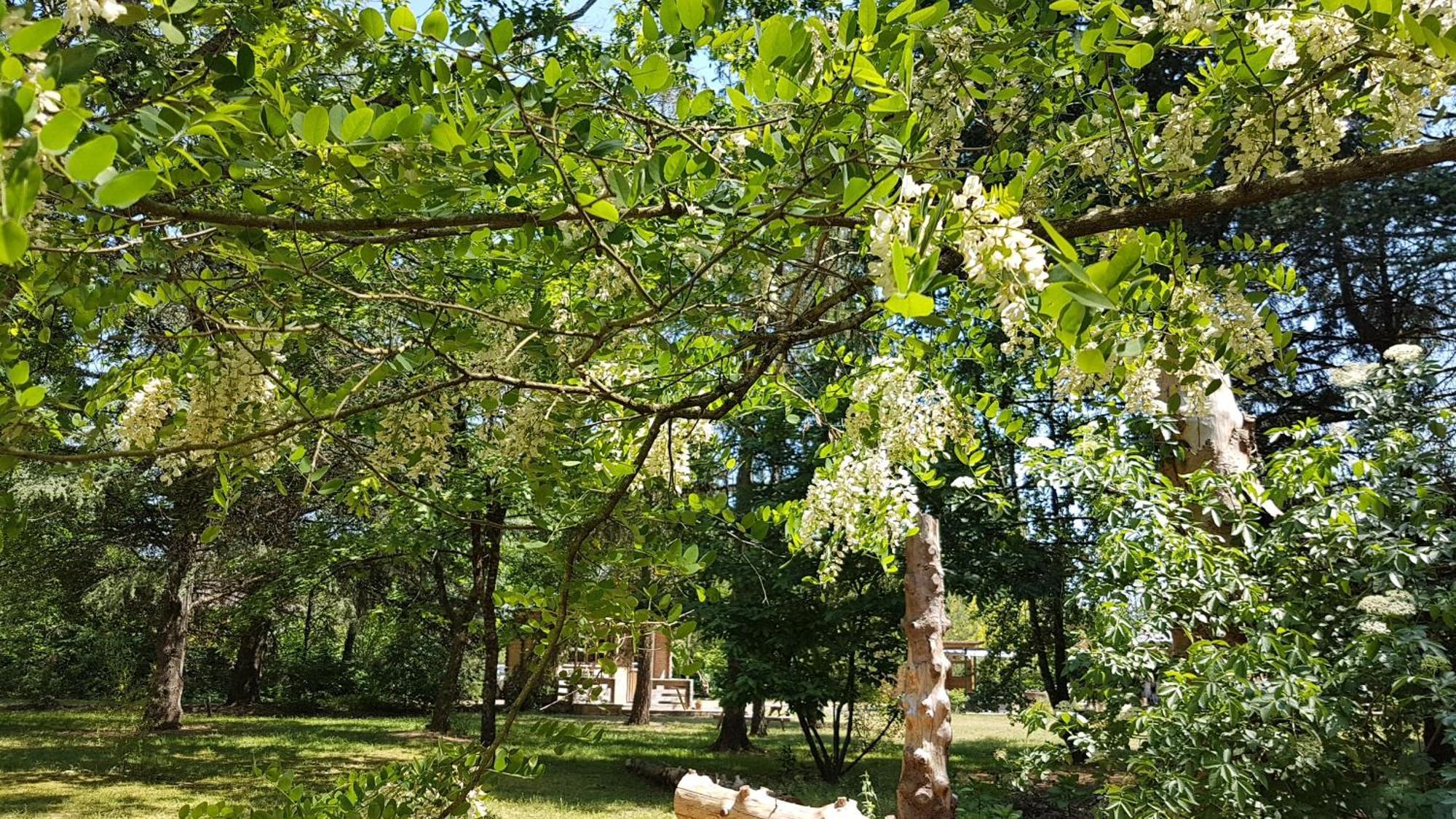 Le Clos Des Ecureuils Vouzon Zewnętrze zdjęcie